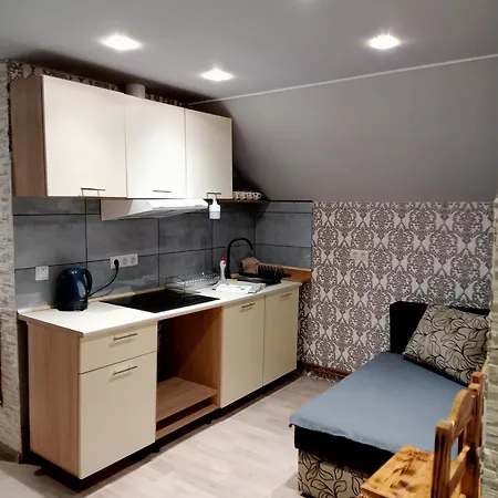 Apartment обійми гір *