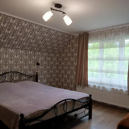 Apartment обійми гір *